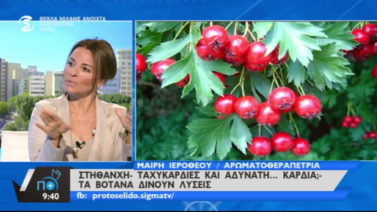 στηθανχη με 2 βοτανα