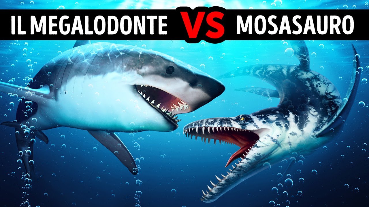 Che Succederebbe se il Megalodonte Incontrasse il Mosasauro, Gigante Dinosauro Marino