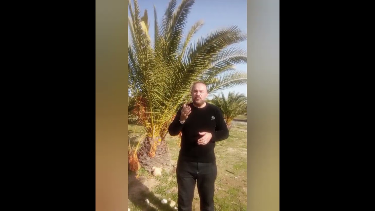 306 الولاة في زمن سيدنا عمر بن الخطاب رضي الله عنه #سيرة_الحبيب #الدكتور_احمد_الحياصات 