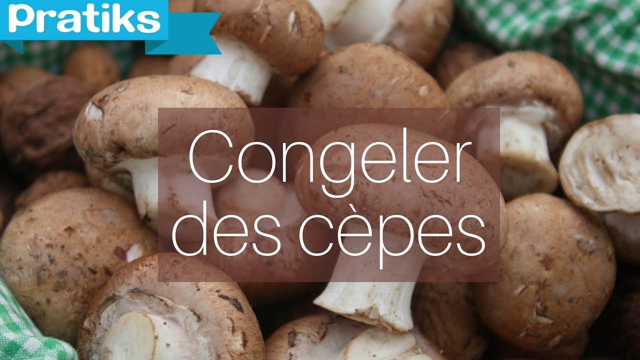 Congeler des cèpes c'est possible grâce à cette méthode !