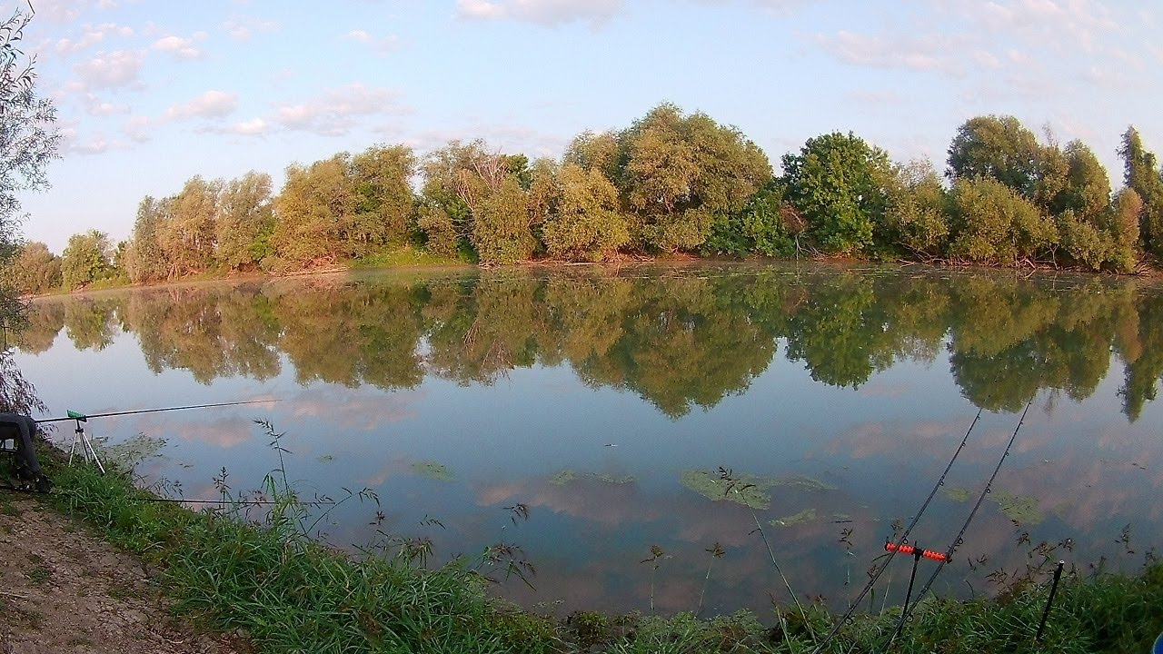 Pecanje Tamiš Sakule, plus Zmajevačko jezero! Fishing on Tamis in Sakule,plus Zmajevo lake !