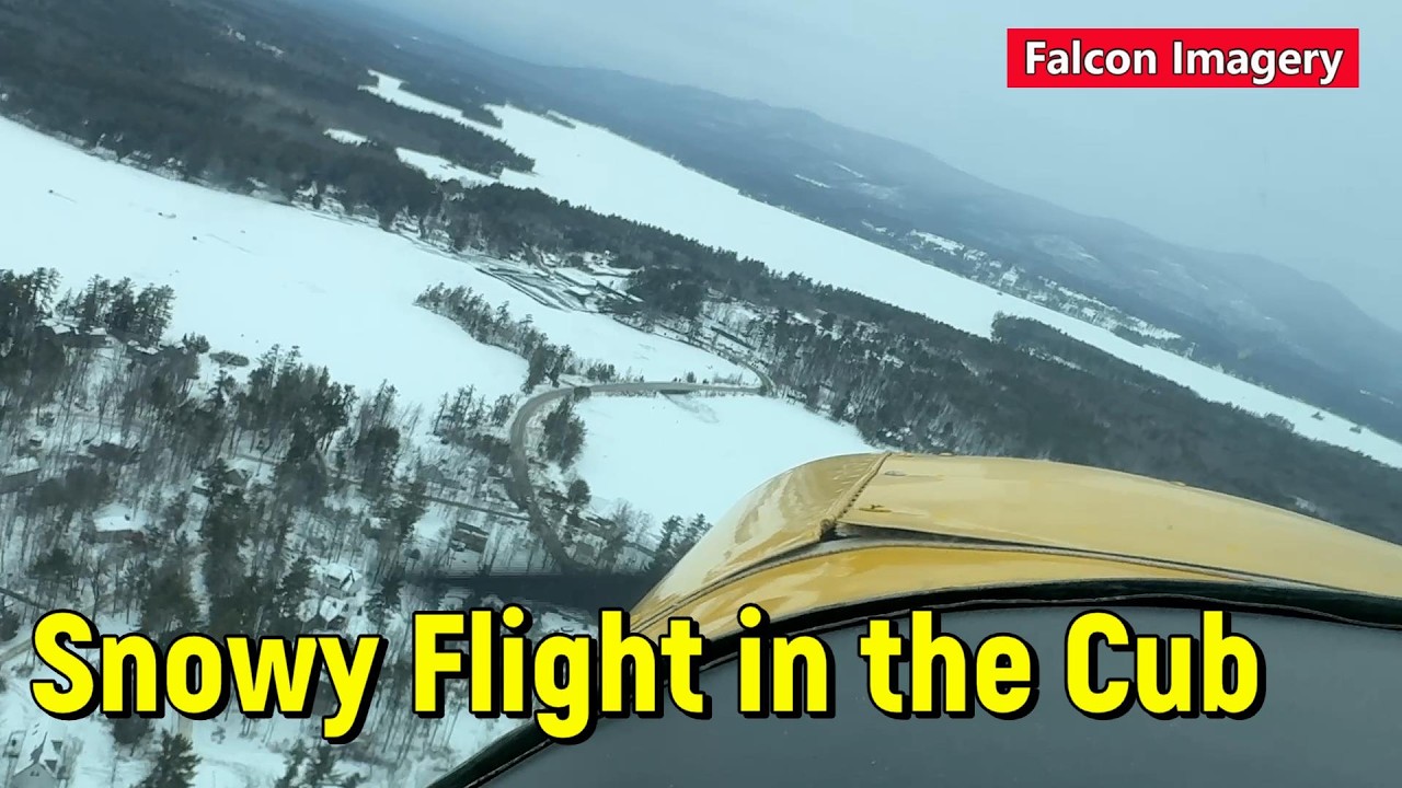 Snowy Flight in the Cub