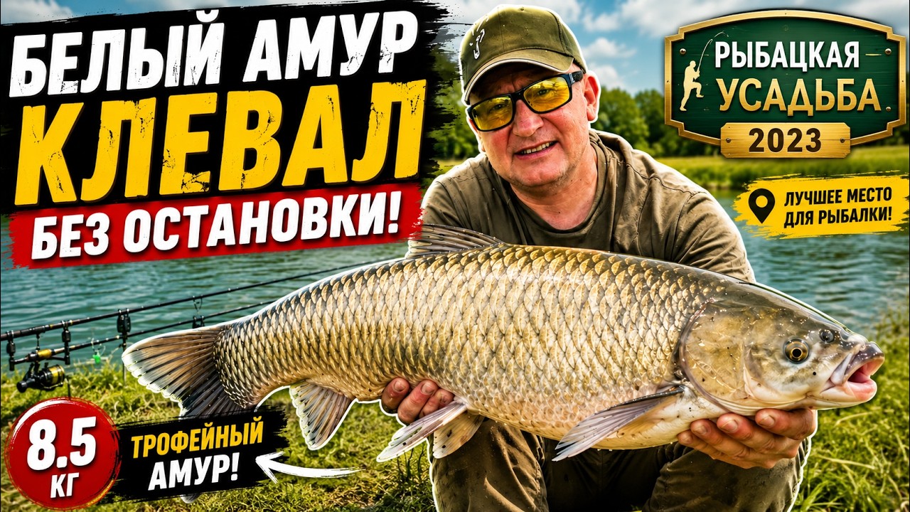 БЕШЕНЫЙ КЛЁВ АМУРА. Супер рыбалка близ Алматы.Рыбацкая Усадьба. НАЛОВИЛИ МНОГО БЕЛОГО АМУРА.