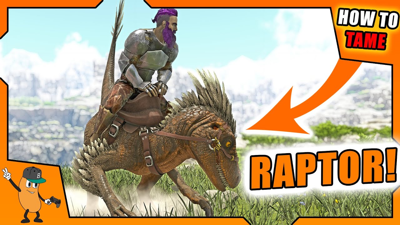 HOW TO TAME A RAPTOR | ARK How To Tame Series