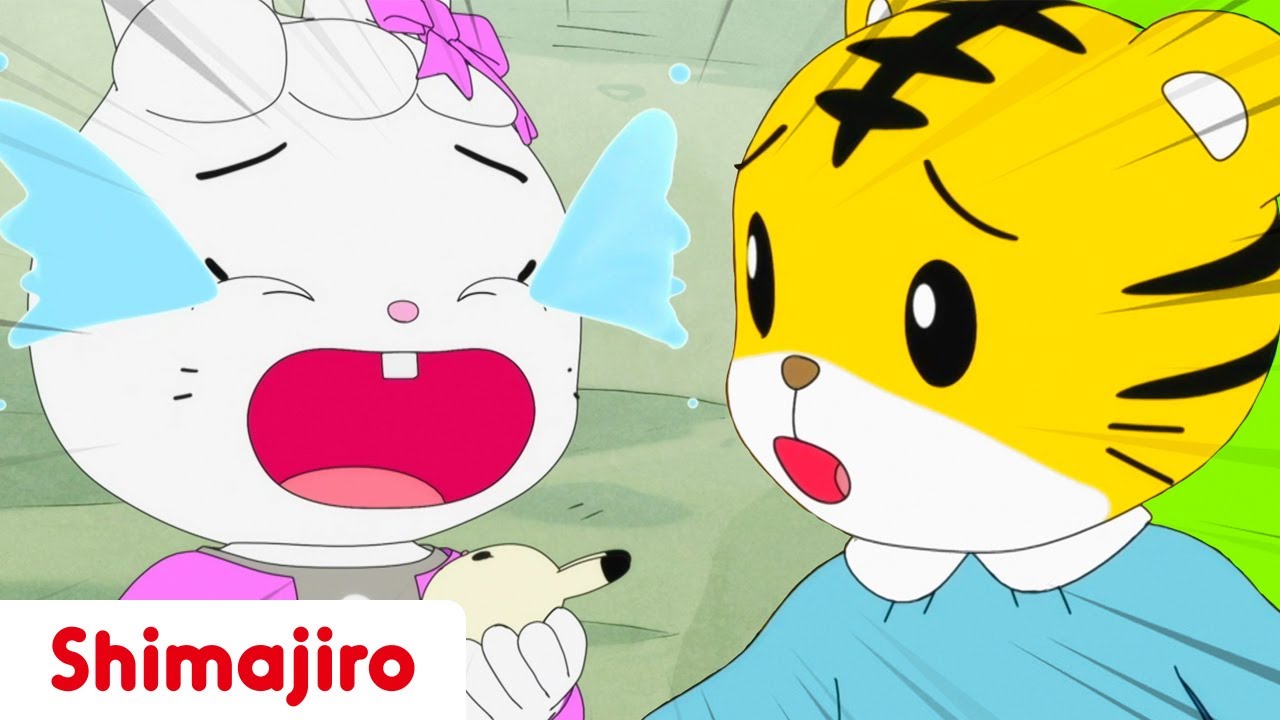 Is everyone happy to go back to school? Shimajiro helps his friends once again