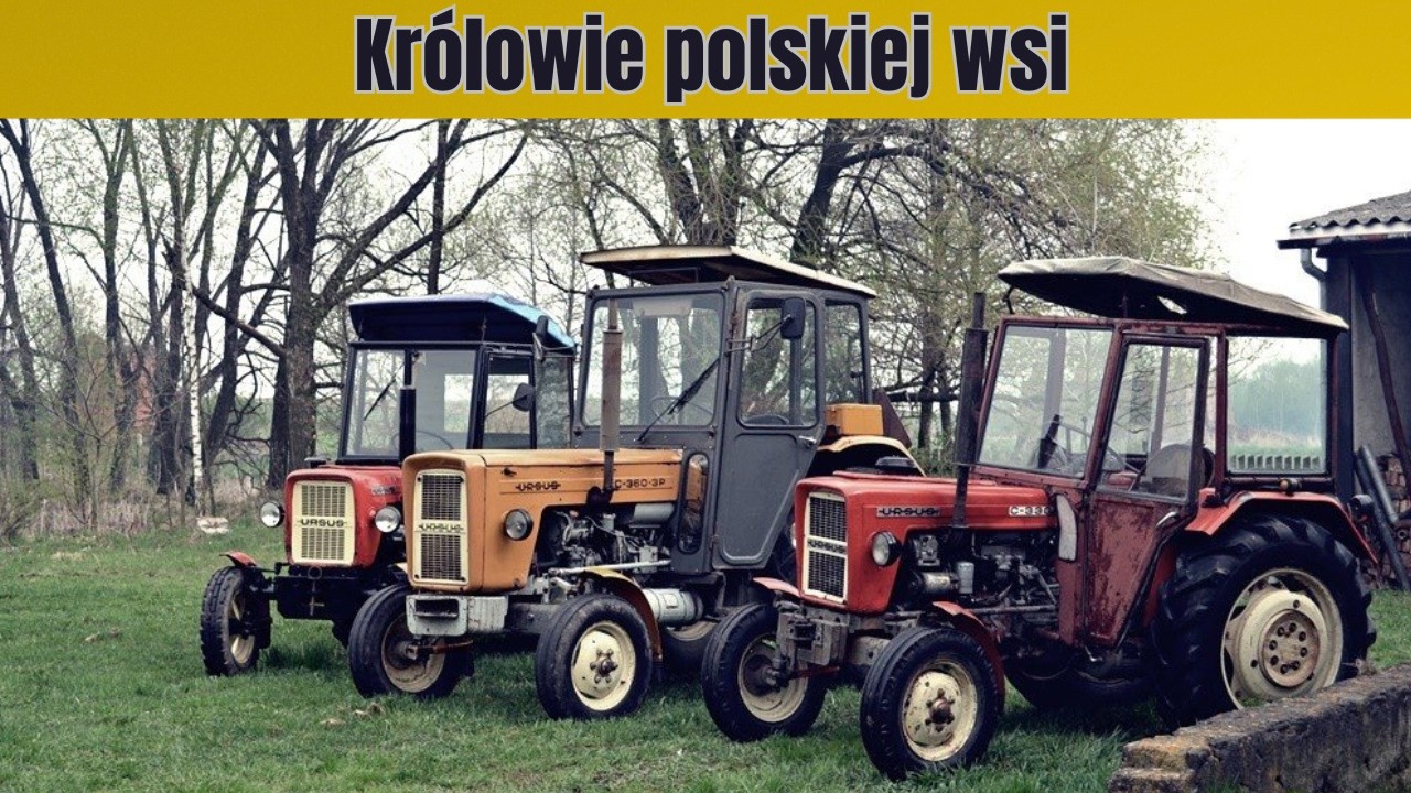 Królowie polskiej wsi! Te maszyny zmotoryzowały PRL 🚜
