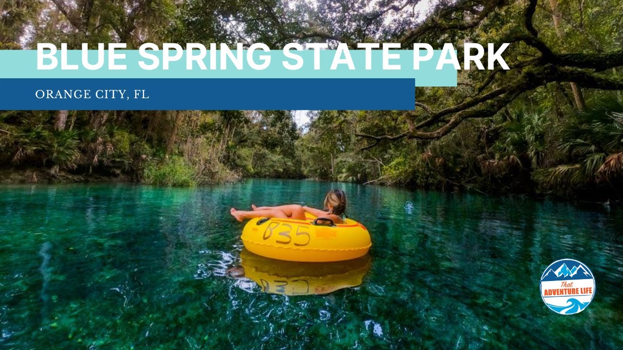 Blue Spring State Park, A Wonderful Alternative to the Theme Parks, Right Outside Orlando, FL
