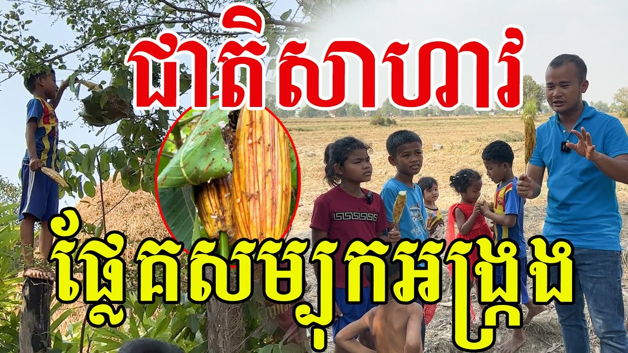 ប្លែកហួស ជាតិនោះជាតិ ផ្លែគញាត់សម្បុកអង្ក្រង ឆ្លាតណាស់ក្មួយៗ