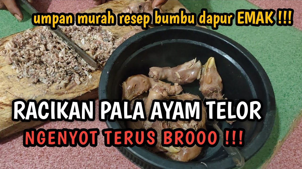 CARA MEMBUAT UMPAN PALA AYAM GALATAMA LELE TERBARU