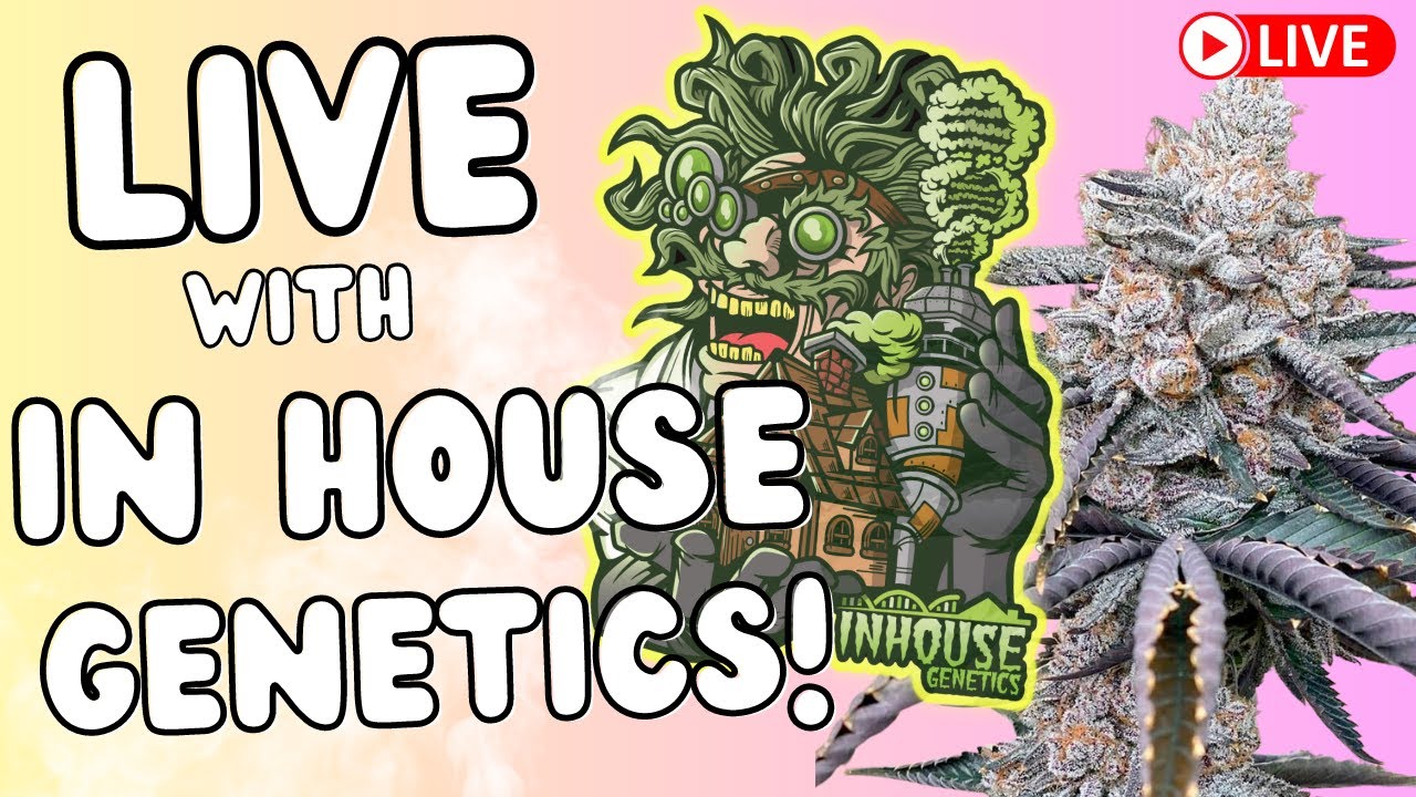 🚀 IN HOUSE GENETICS 🔥 *SPECIAL EPISODE*! | Talkin Loud Podcast Ep64