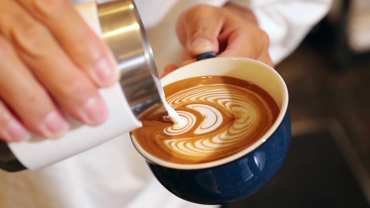 FREE POUR LATTE ART TURNER STYLE NYC ~Wing Tulip 242~（ウィングチューリップ）