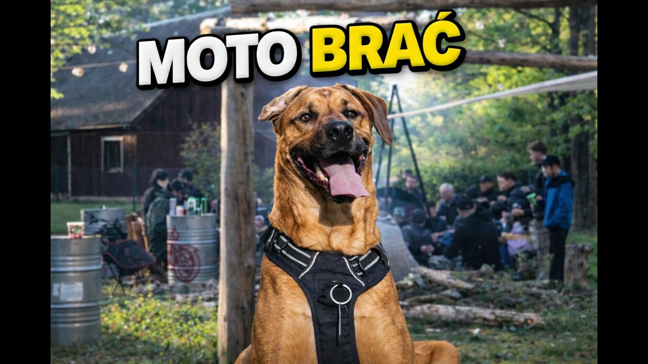 Moto Psina Rock - Moto brać