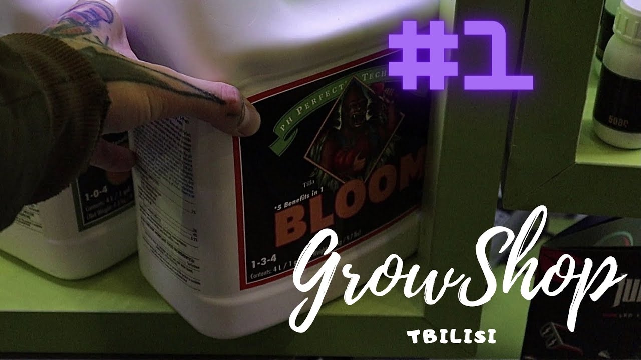 GrowShop Republic of Cannabis Tbilisi