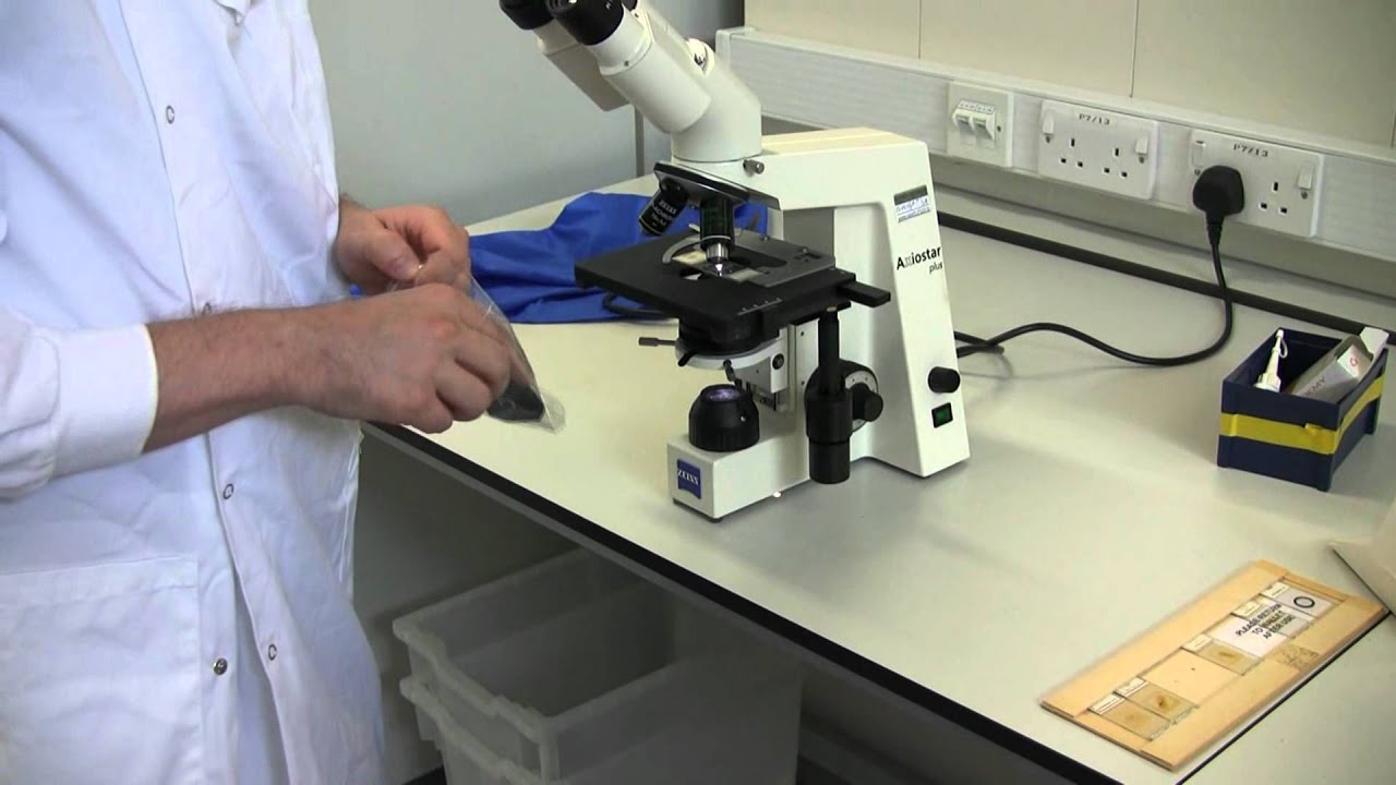 How to set up the Zeiss Microscope