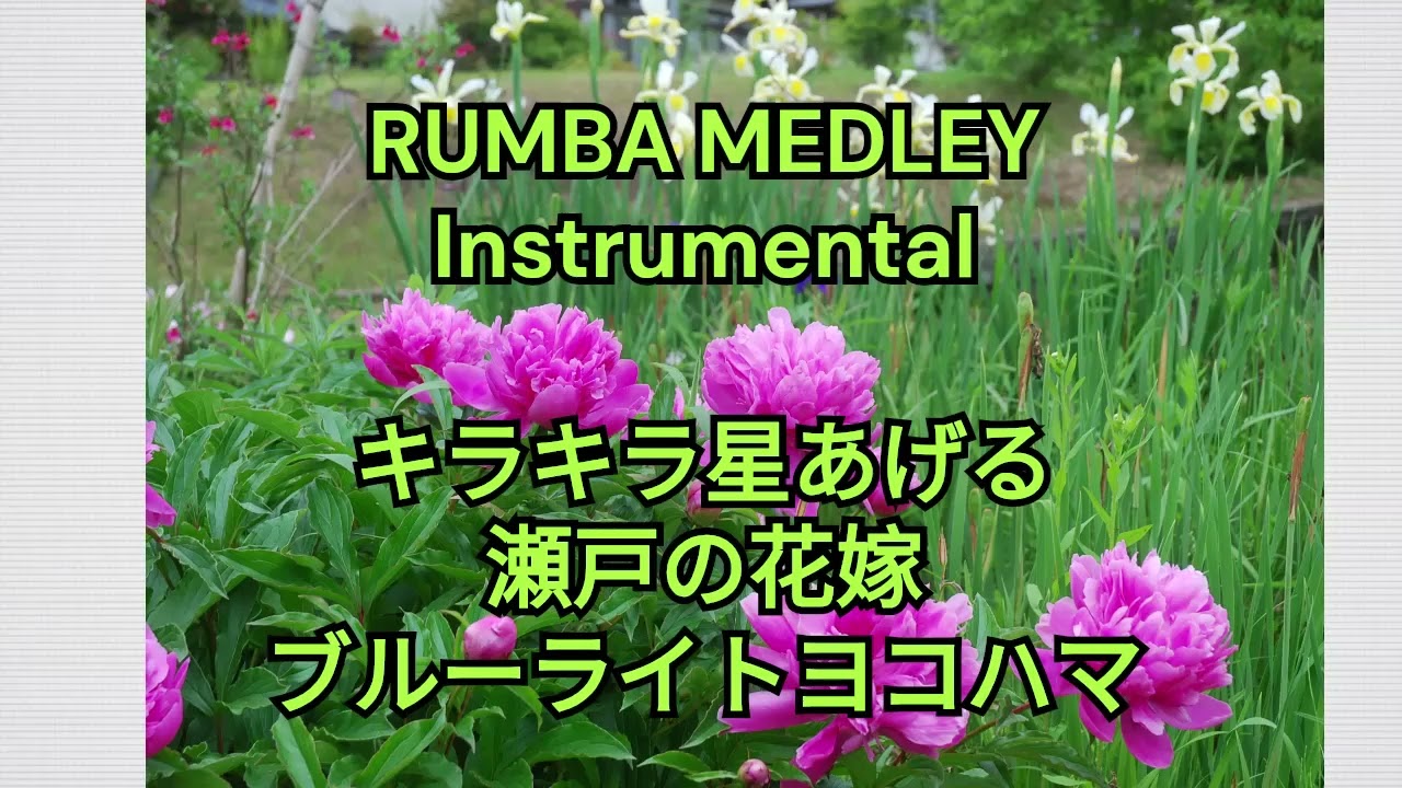 RUMBA MEDLEY  歌謡曲３曲(キーボード演奏)    キラキラ星あげる～瀬戸の花嫁～ブルーライトヨコハマ