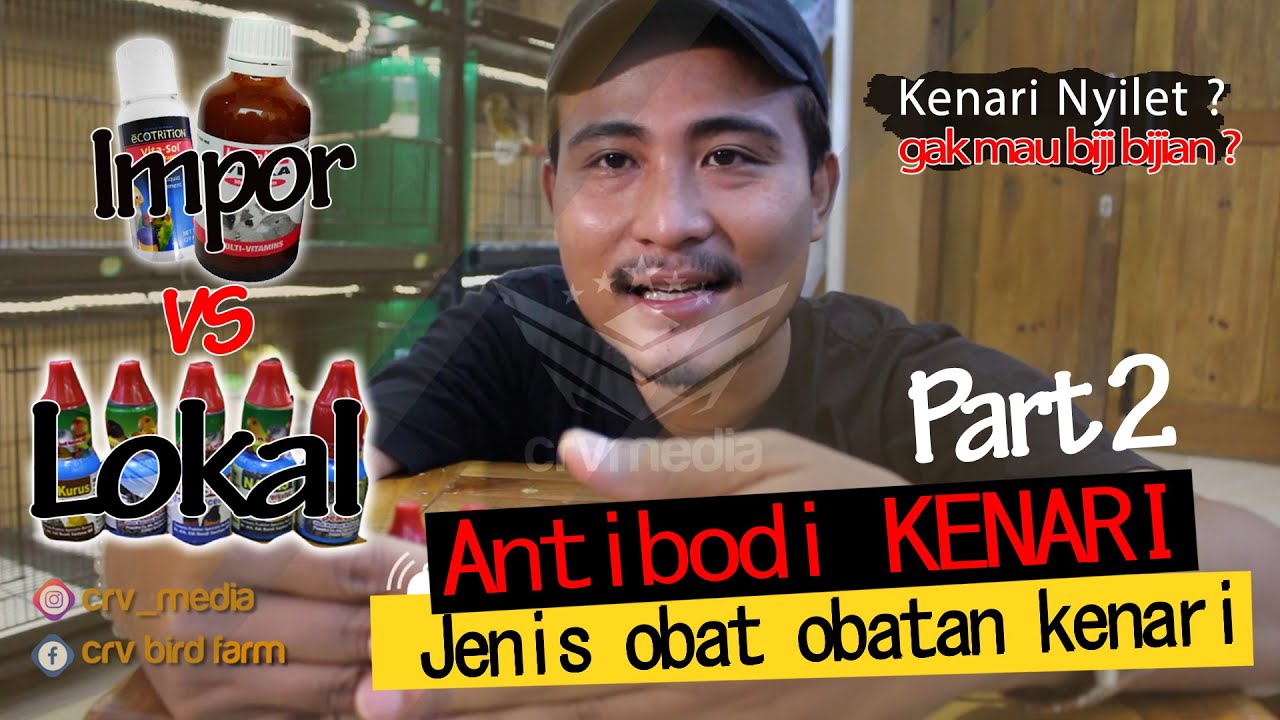 PENTING!! OBAT KENARI NYILET (Part 2) #kenarimania