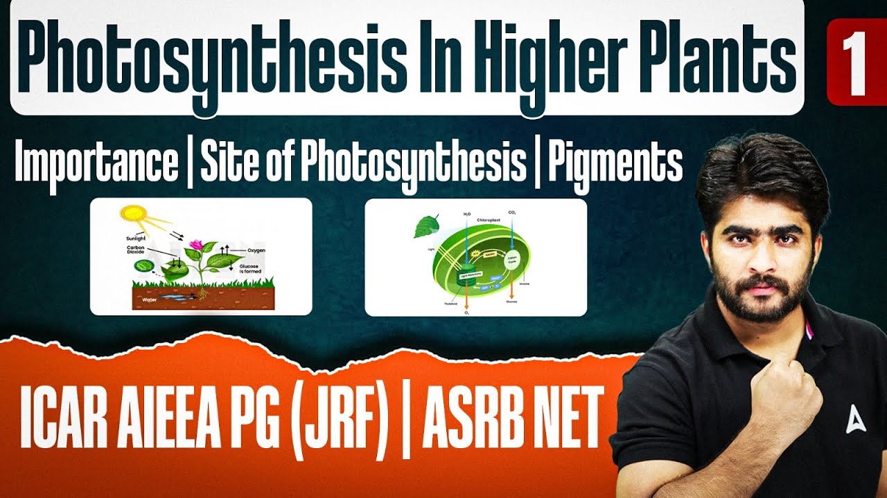 ICAR JRF/ASRB NET | Photosynthesis In Higher Plants | Importance, Site, Pigments | By Krashna Sir