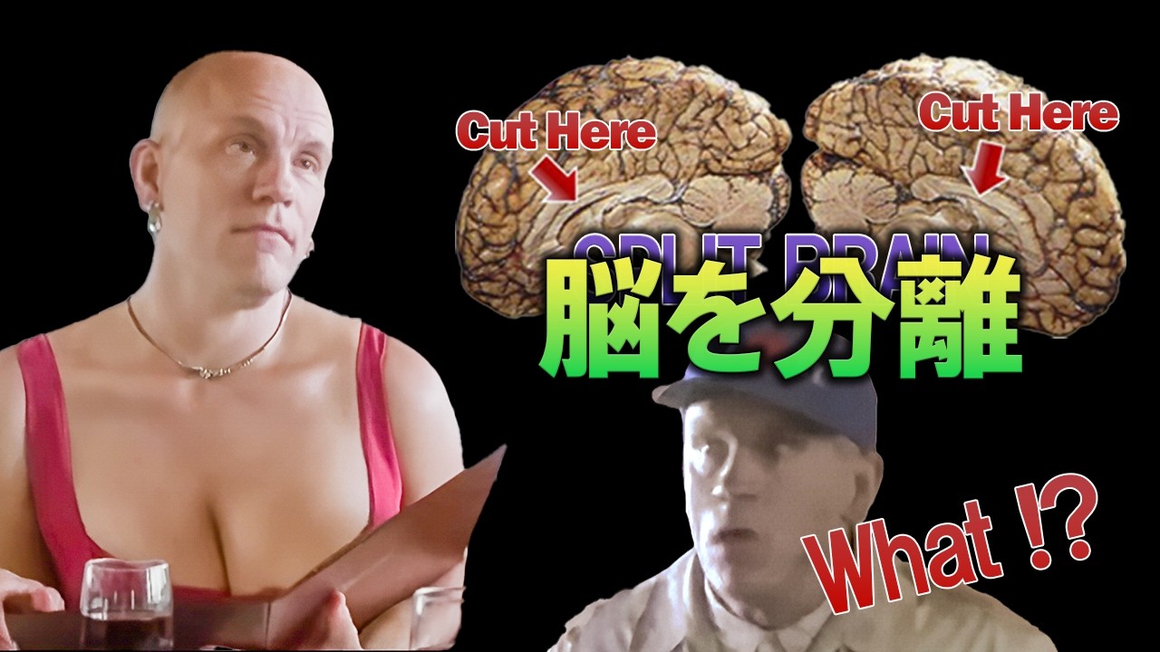 あなたの意識は、宇宙の意識かもしれない！脳分離手術で判明した事実