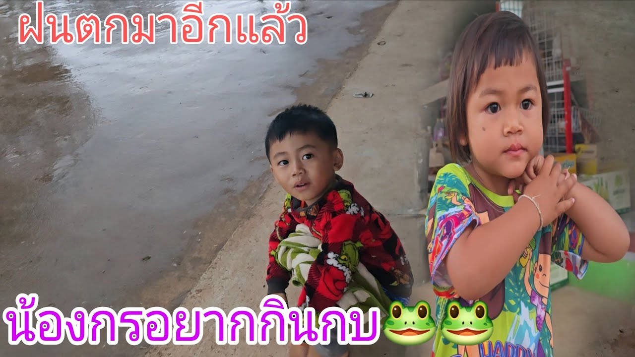 #น้องเอเซียผู้น่าสงสารบอกว่าเย็นสบายมื้อคืน27 กุมภาพันธ์ ค.ศ. 2026
