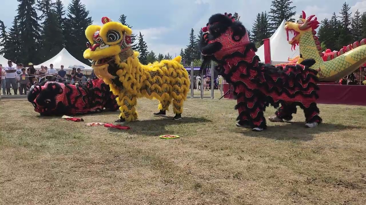 2025 Edmonton Heritage Festival - Lillian Osborne Lion Dance Team at the Chinese Pavilion