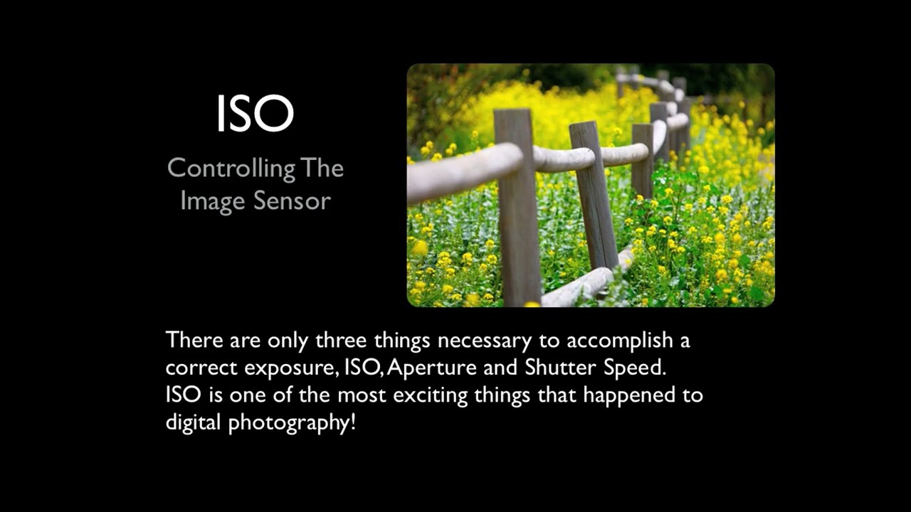 Photography Lesson 2 - ISO–CONTROLLING THE IMAGE SENSOR