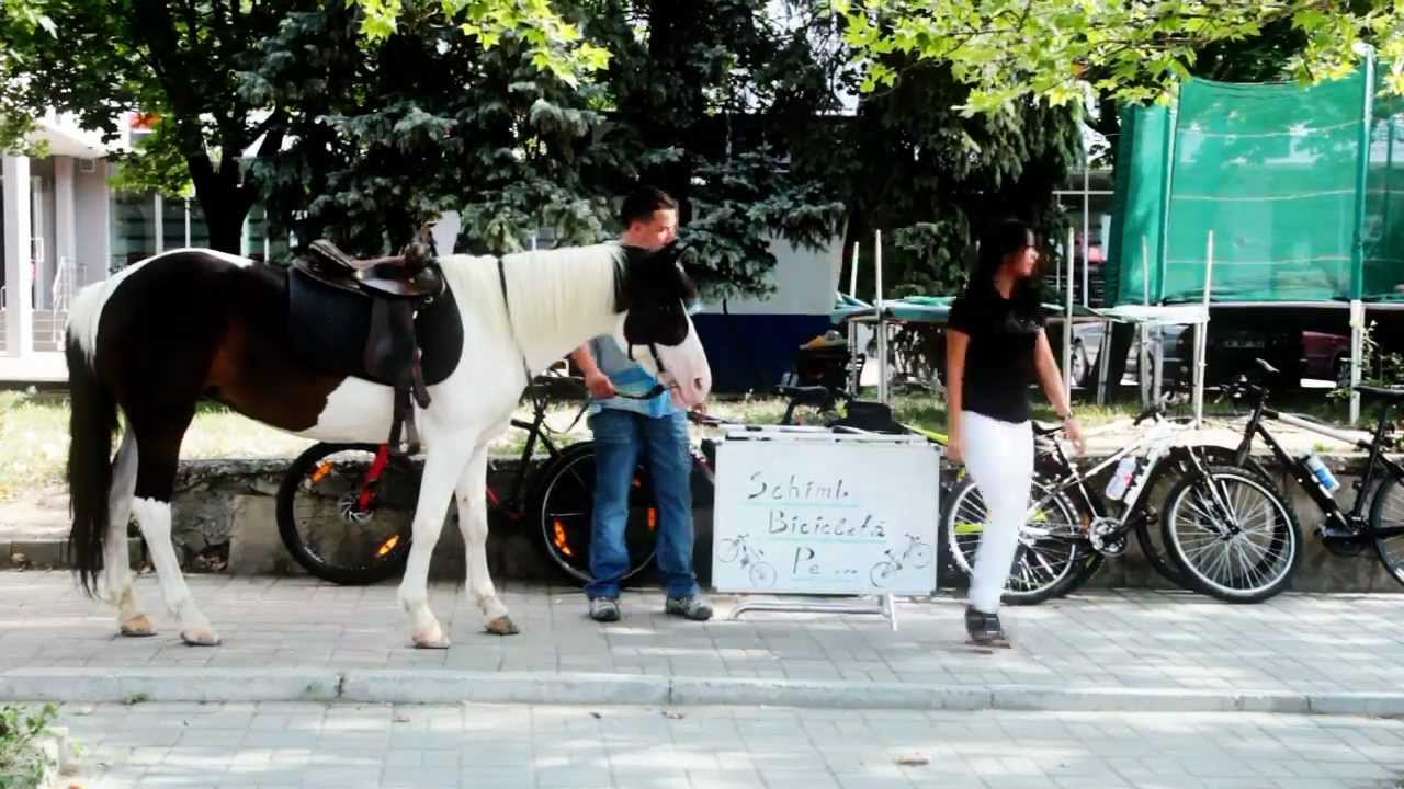 Human Place - Bicicleta [Official Music Video]