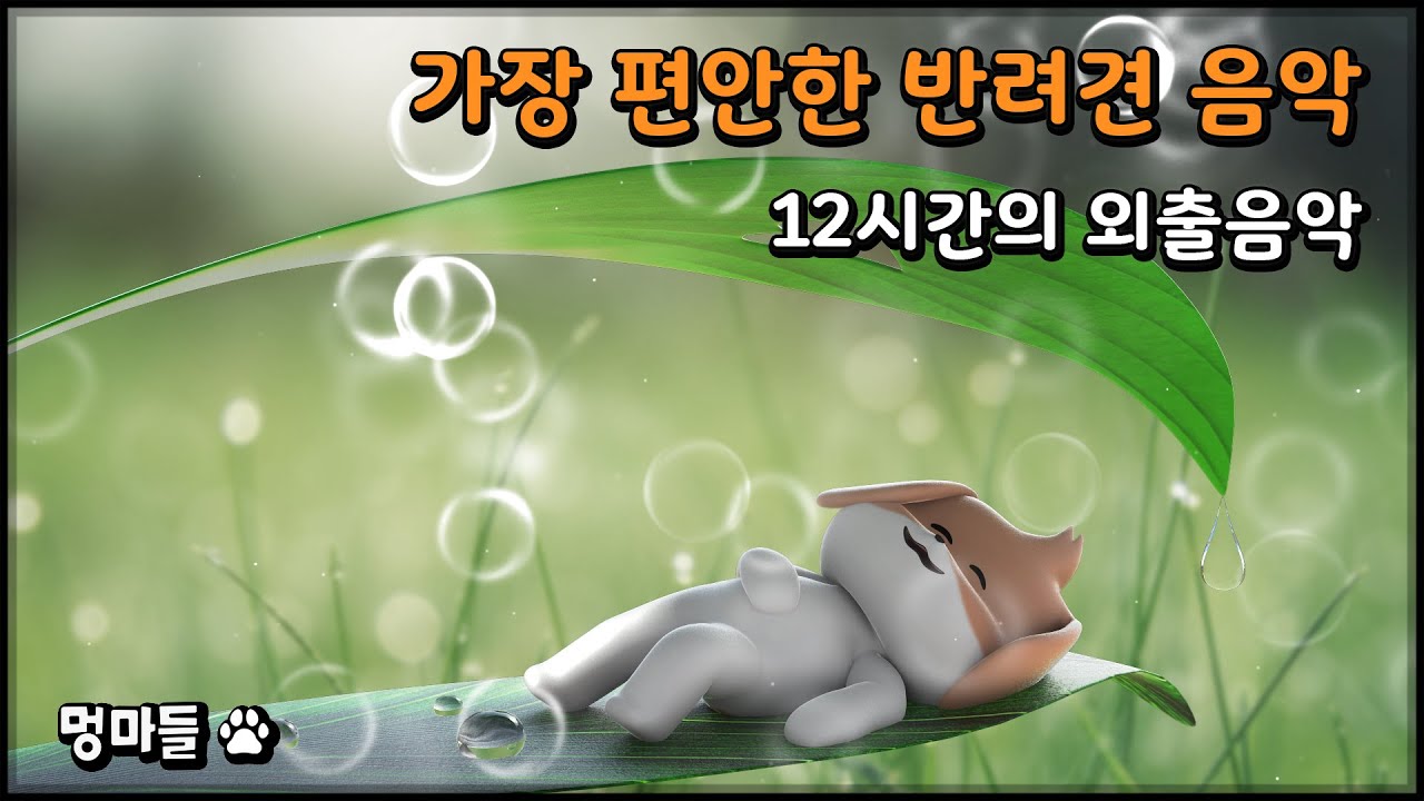 #멍마들  가장 편안한 반려견 음악 | 외출 시 반려견을 위한 음악 - The most relaxing Dog Music