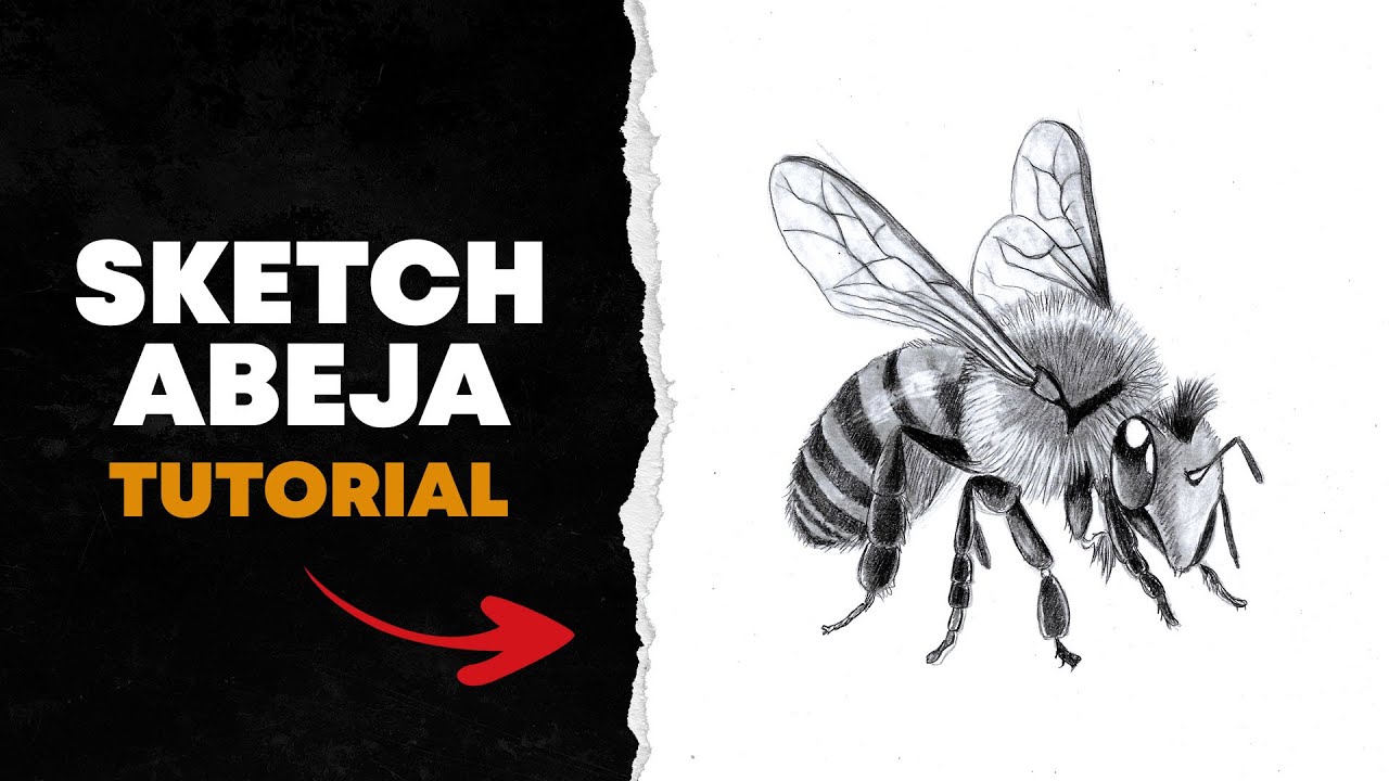 Dibuja una Abeja Realista 🐝 Tutorial Paso a Paso para Principiantes