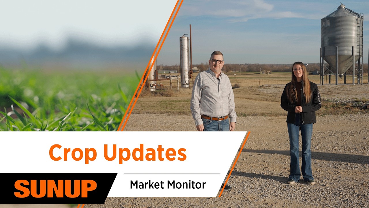 What the Latest WASDE Report Means for Farmers | Market Monitor with Todd Hubbs
