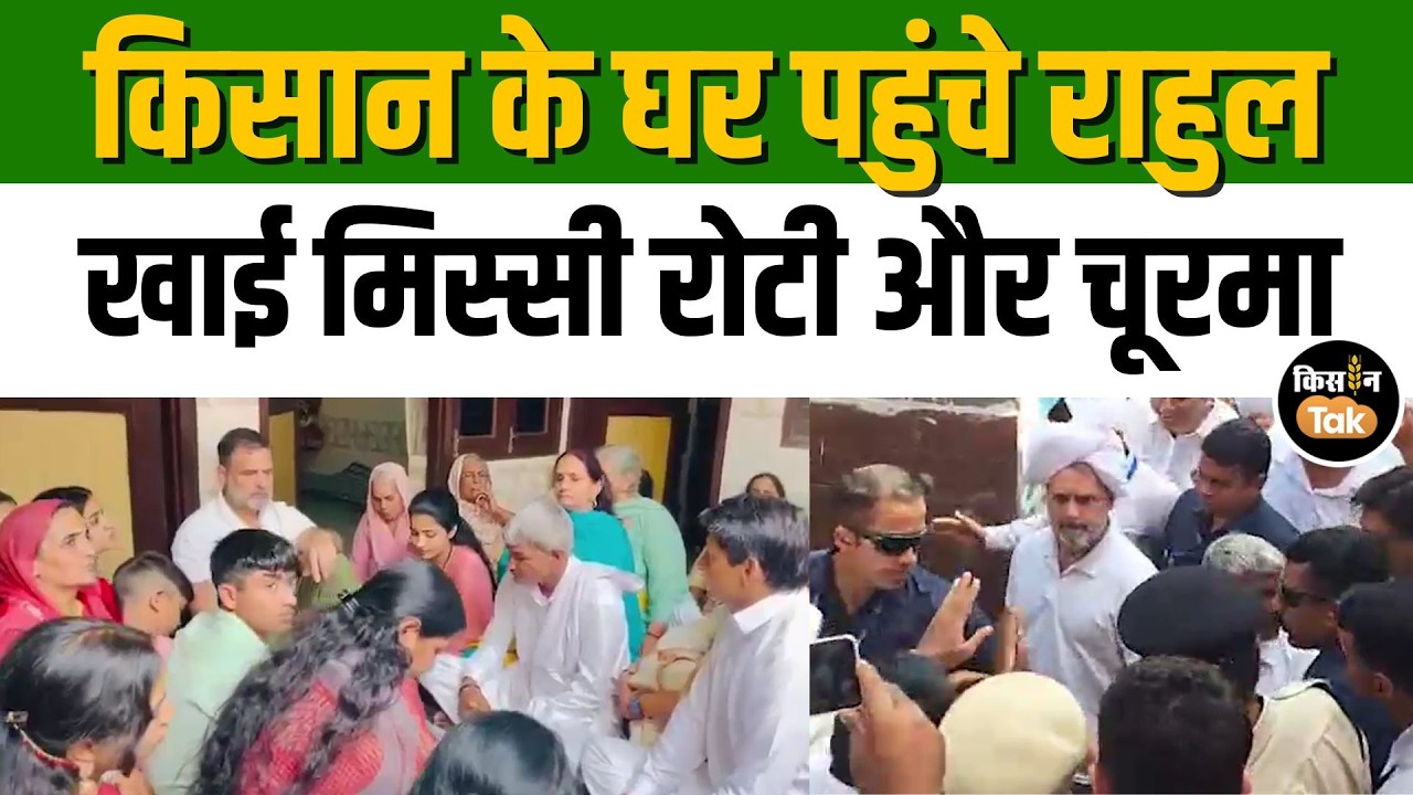 Sonipat: छोटे किसान की बेटी की शादी में पहुंचे Rahul Gandhi, खेत में धान की फसल बोने भी आए थे