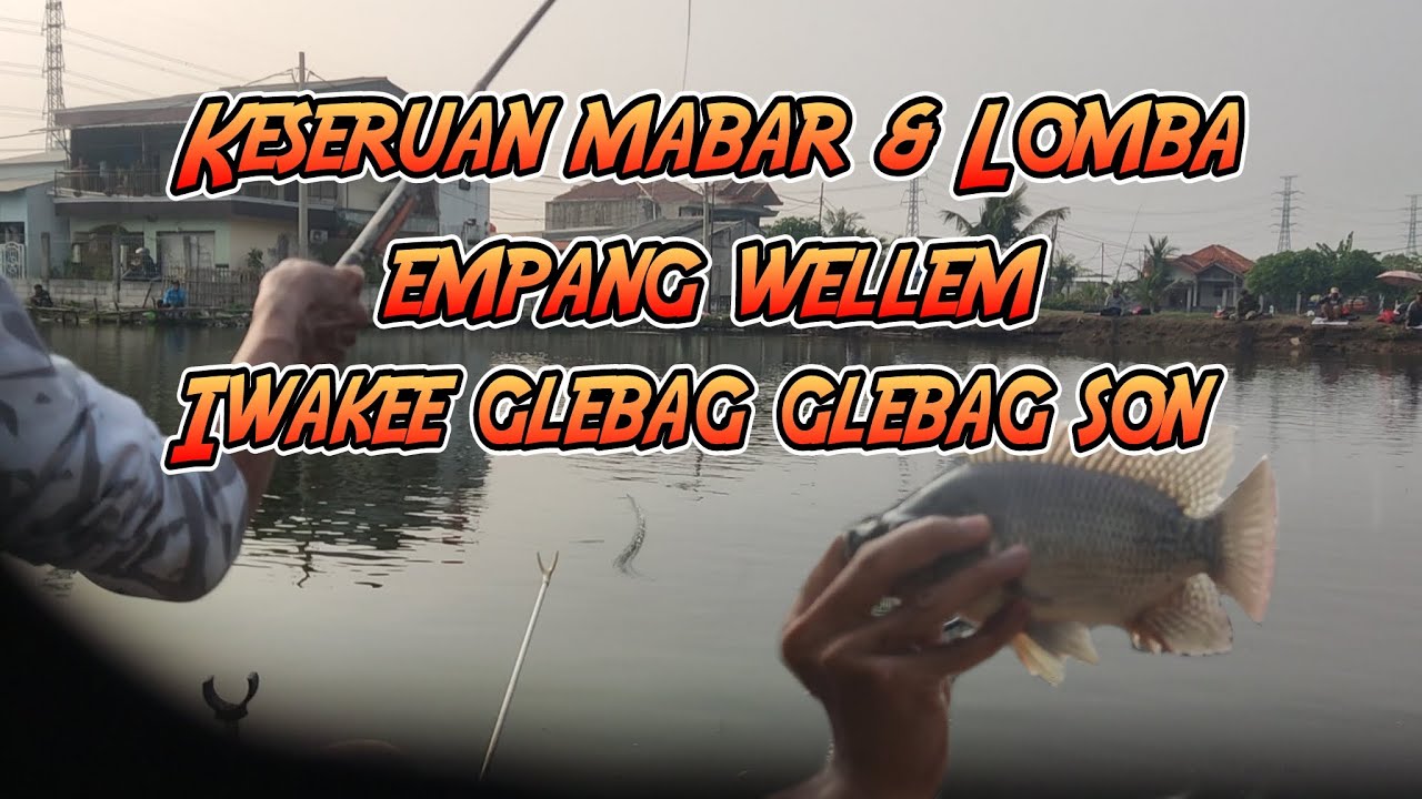 Keseruan mabar & Lomba Di empang wellem || Iwake Tebeg Tebeg Bener 🥰