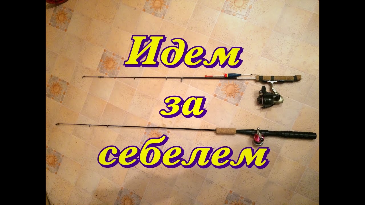 №39. Идем на себеля