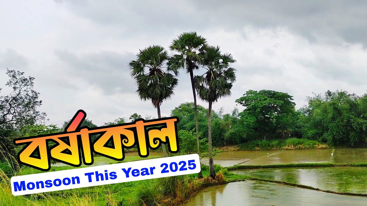 Gram Bongo বর্ষাকাল | Monsoon This Year 2025 | Bengali Documentary Video