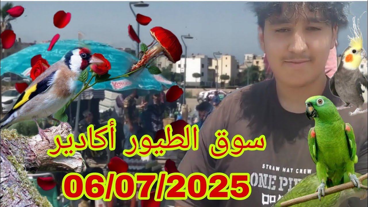 سوق الطيور أكادير ليوم الأحد 06/07/2025+ توليعة صباحية مع شباب الولاعة@عشاق الدريساج