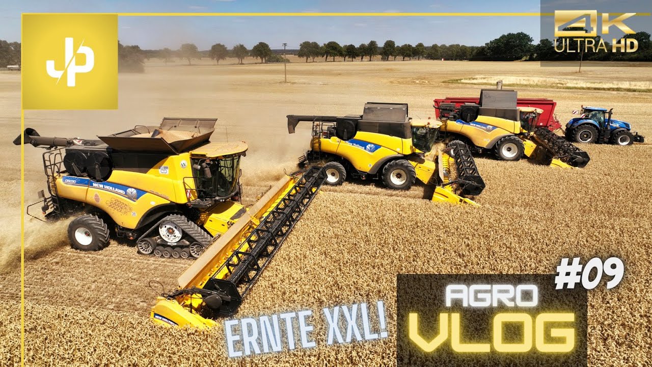 Weizenernte XXL mit NEW HOLLAND! Dreschen 2022 - Agrovlog #09 || JP Agrar