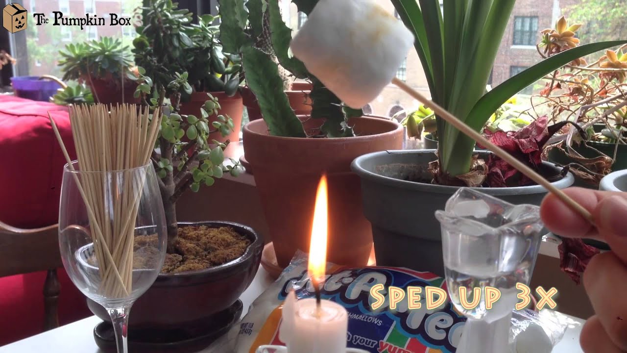 Roasting marshmallows the easy way -- with a candle