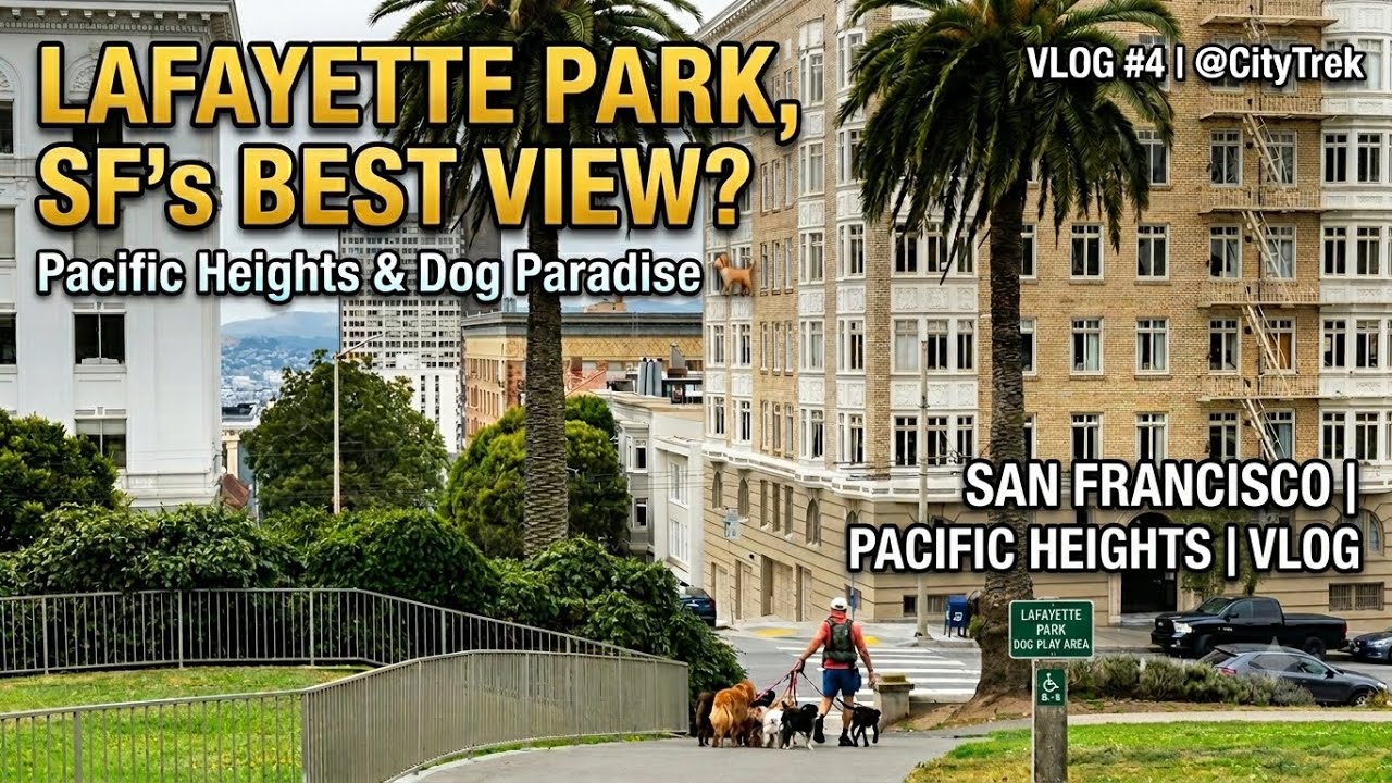 A Dog Owner&rsquo;s Paradise Lafayette Park