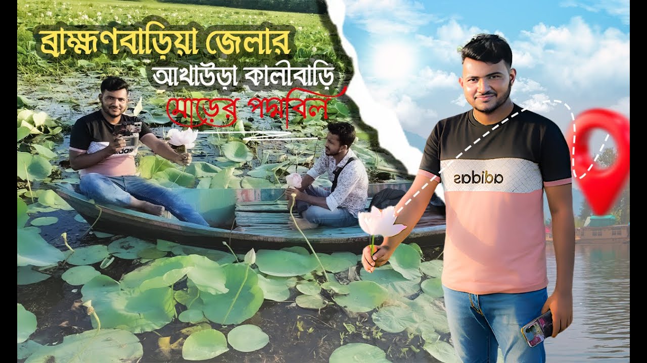 আখাউড়া কর্মমোঠ কালিবাড়ি মোড়ের পদ্মবিল |  Brahmanbaria Lotus Bil |