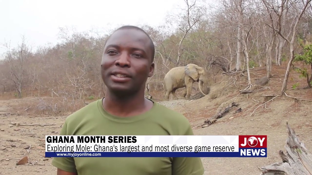 Ghana Month Series: Exploring Mole - Ghana's largest and most diverse game reserve.