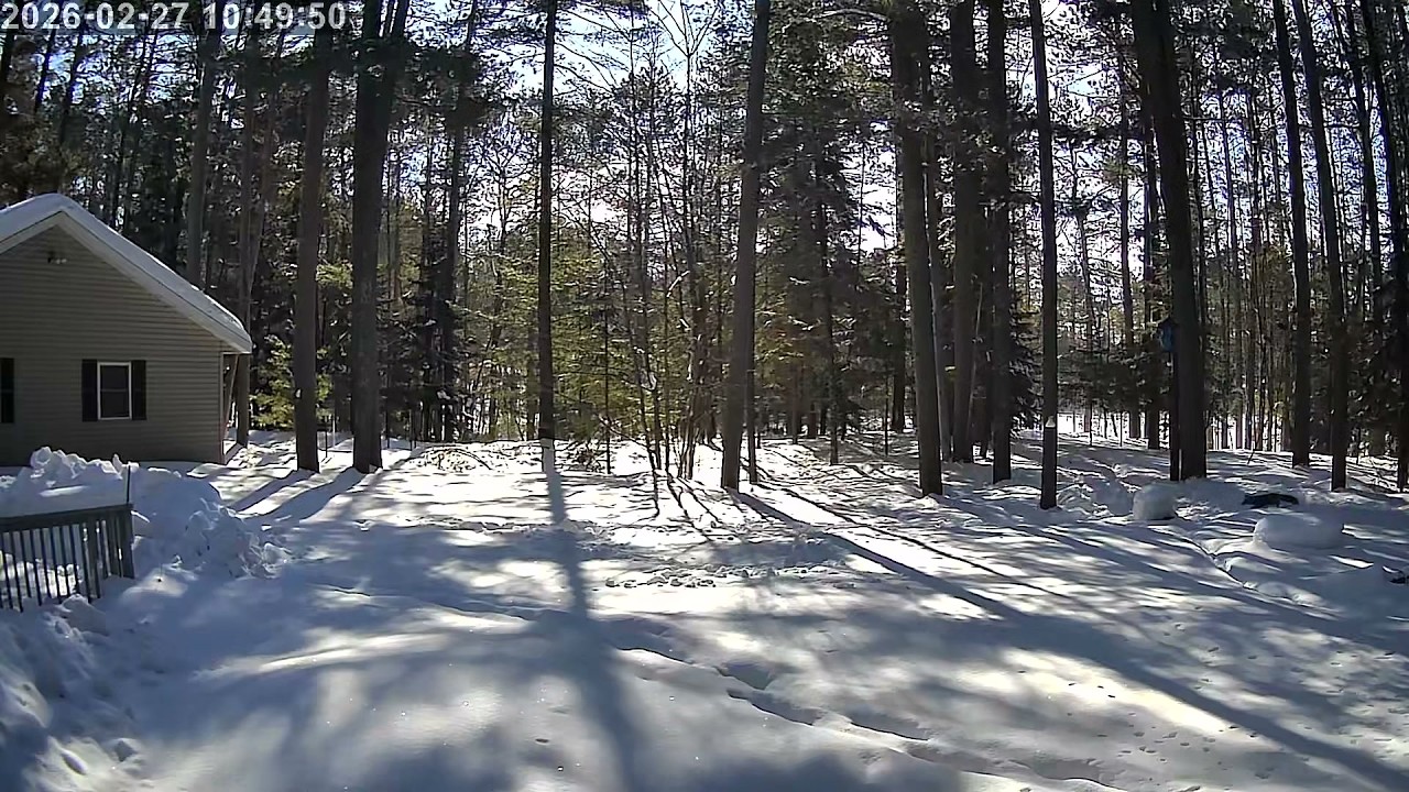 20260227 104846 Fox snowy backyard front yard drive combo h265b