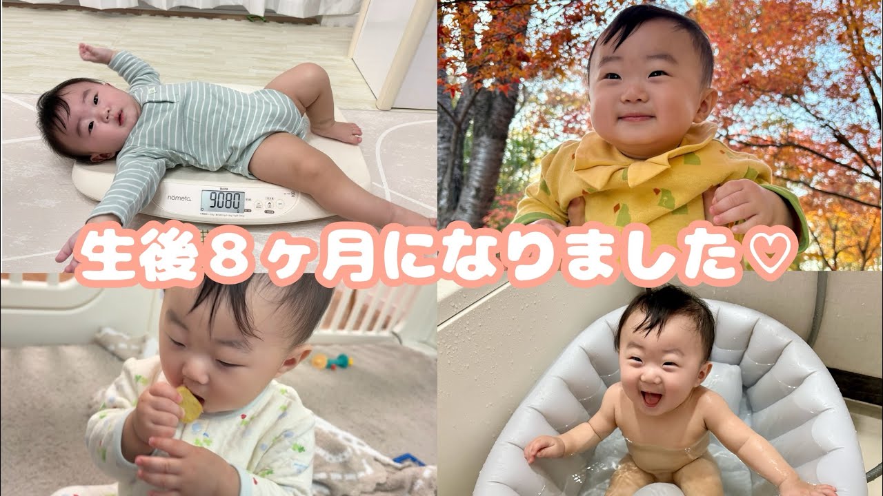 【生後８ヶ月】元気にすくすく成長中👶🧡