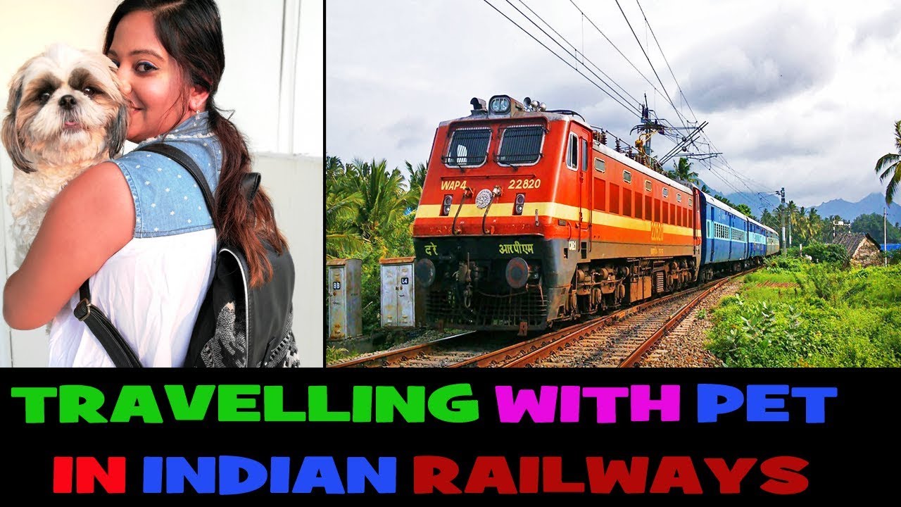 Travelling With Pet In Indian Railways | Detailed Information and Tips by Indian Petmom