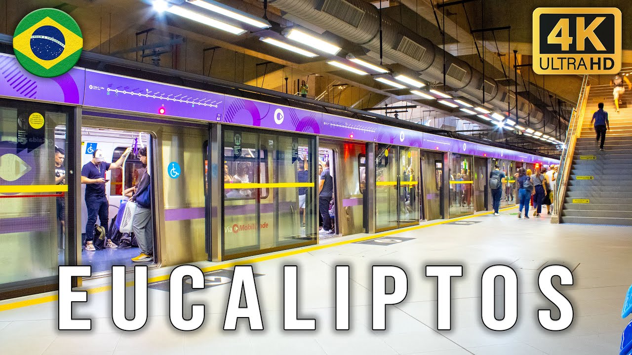 Estação Eucaliptos - Movimentação de Trens #33