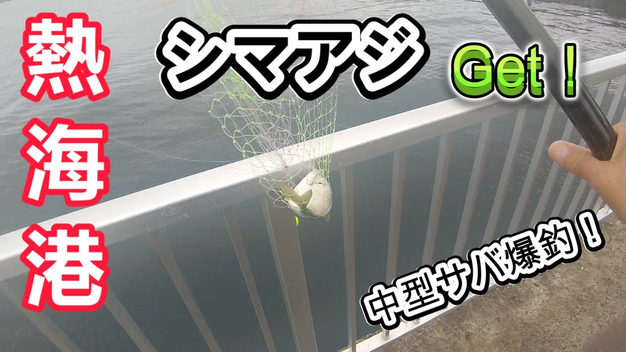 熱海港・シマアジGet！中型サバ爆釣！2025.10.11~12　遠投カゴ釣り、ブッコミサビキ、トリックサビキ釣り、シマアジ、サバ、青アジ、コノシロ、イワシ。