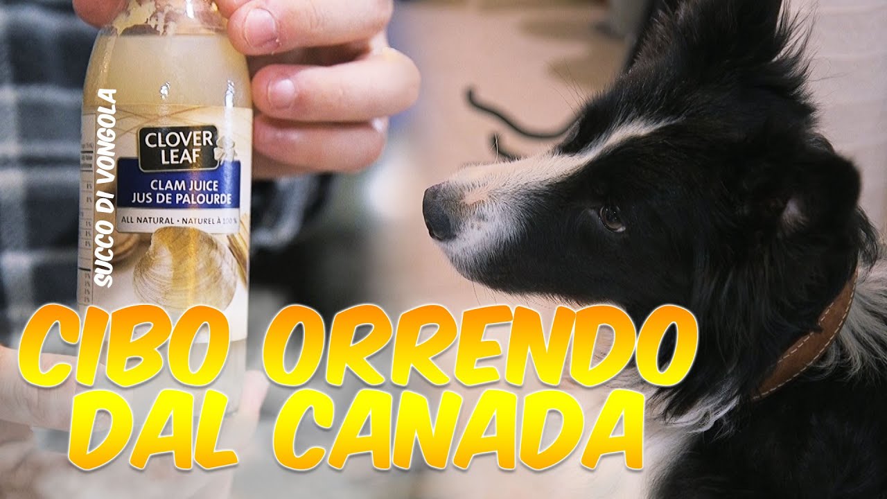 CIBO ORRENDO DAL CANADA CON TOFFO !