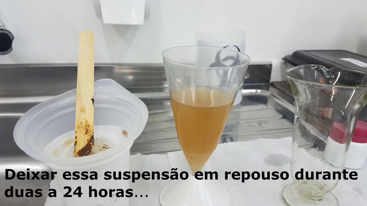 Técnica da sedimentação espontânea