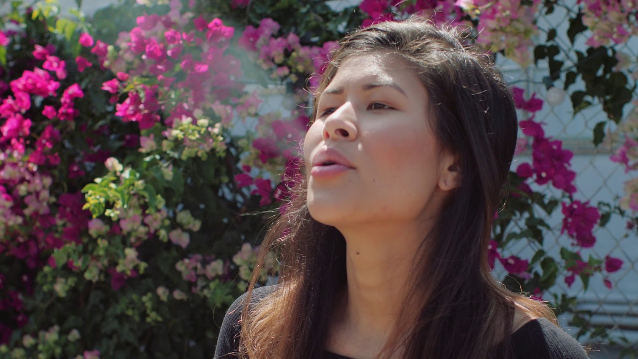 New DaVinci MIQRO Vaporizer - Available Now!