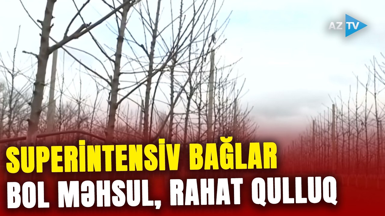 Qusarda salınan SUPERİNTENSİV BAĞLAR: qulluğu rahat, məhsuldarlığı bol – GÖRÜNTÜLƏR