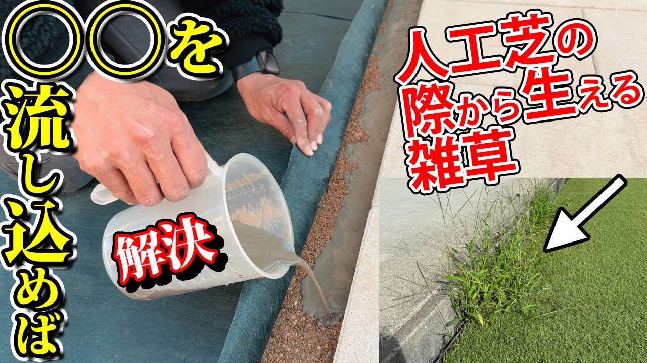 人工芝を張る前に！9割の人が知らない人工芝のキワから草が生えなくなる方法【身長を超える雑草が茂るお庭をドッグランにリフォームした】最終話