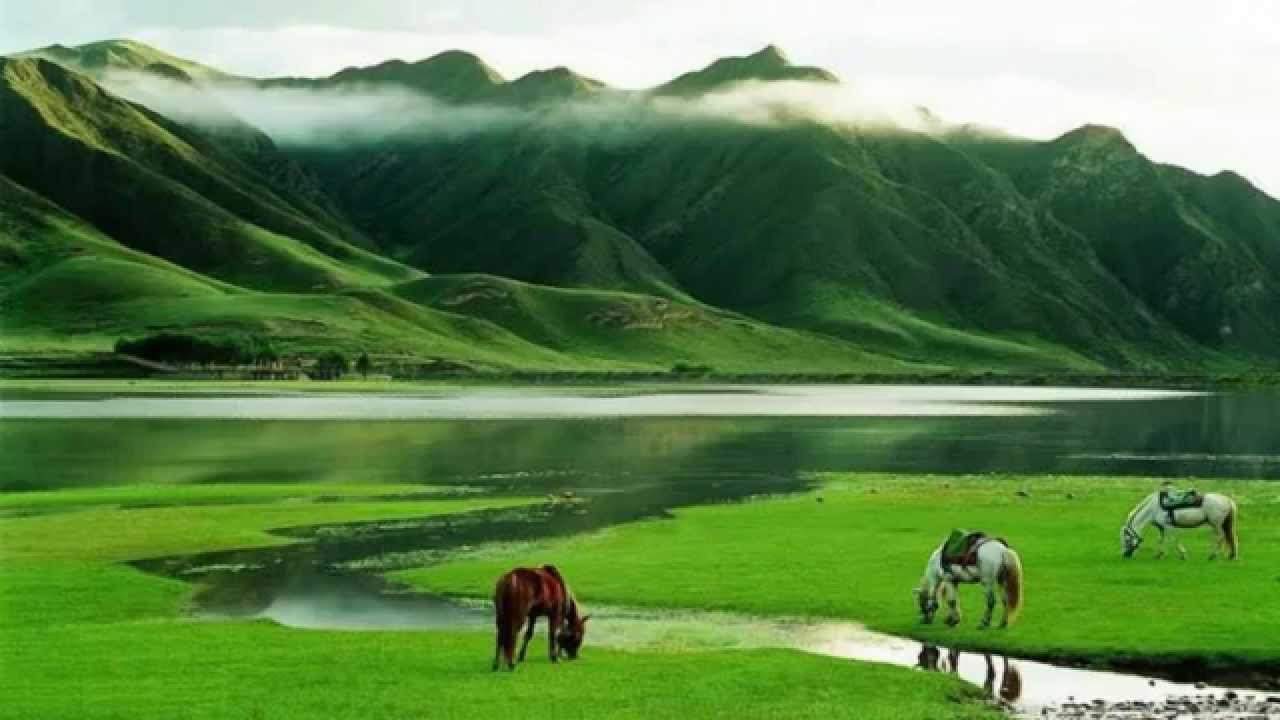 Beautiful grasslands in China (HD1080p)